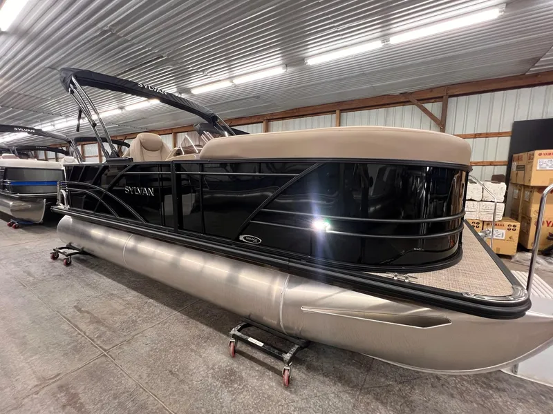 Slide: The Image of Sylvan Mirage 8520 Party Fish 2026 - 31