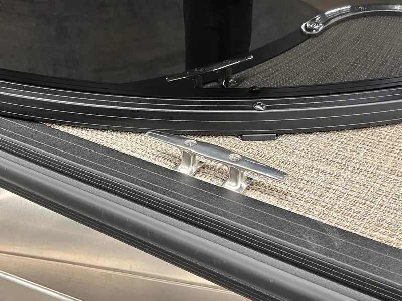 Slide: The Image of Sylvan Mirage 8520 Party Fish 2026 - 38