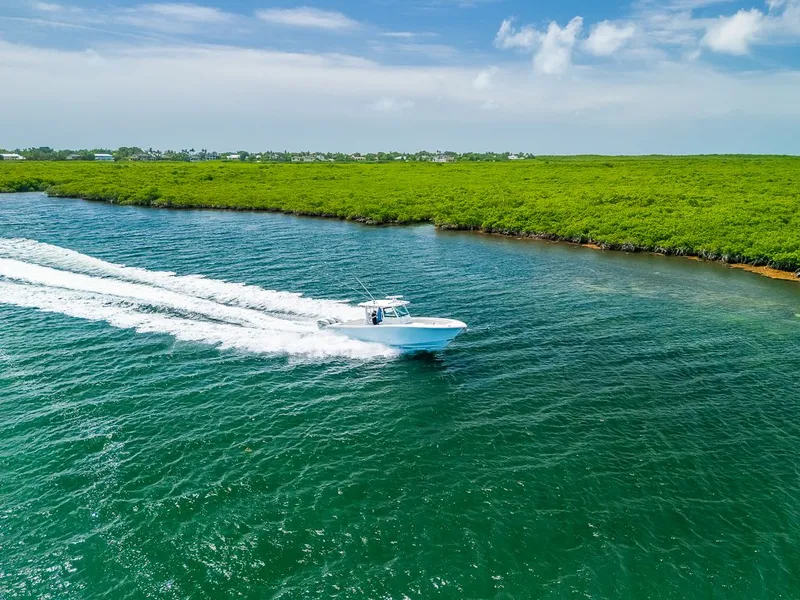 Slide: The Image of Caymas 401 CC 2023 - 19