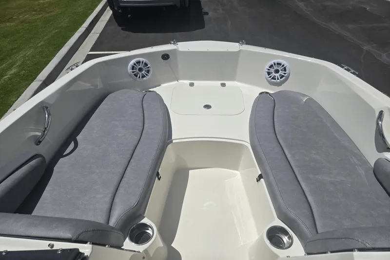 Slide: The Image of Stingray 191 DC 2020 - 12