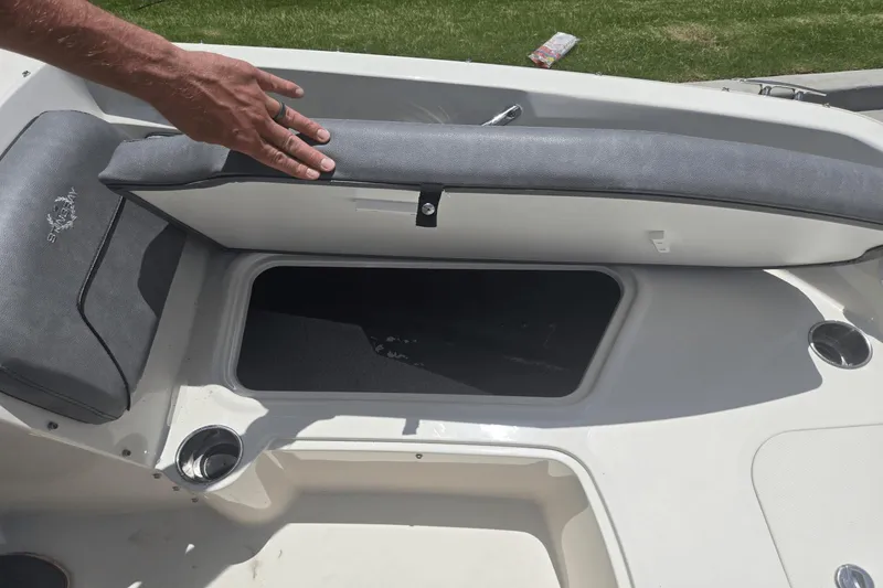 Slide: The Image of Stingray 191 DC 2020 - 13