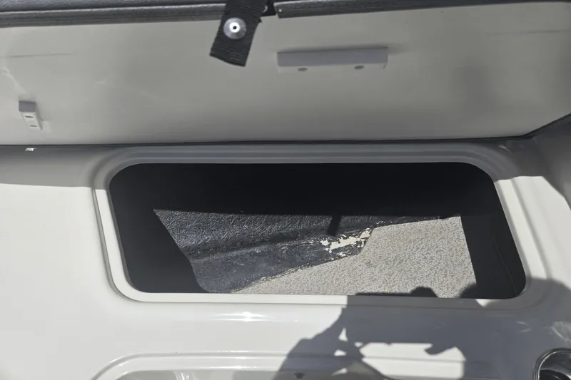 Slide: The Image of Stingray 191 DC 2020 - 14