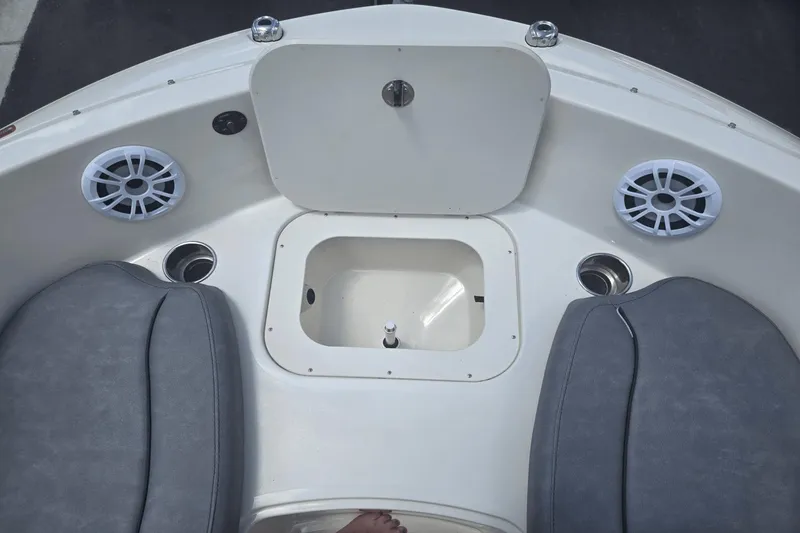 Slide: The Image of Stingray 191 DC 2020 - 15