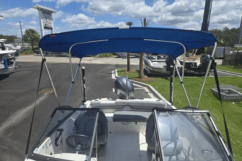 Slide: The Image of Stingray 191 DC 2020 - 17