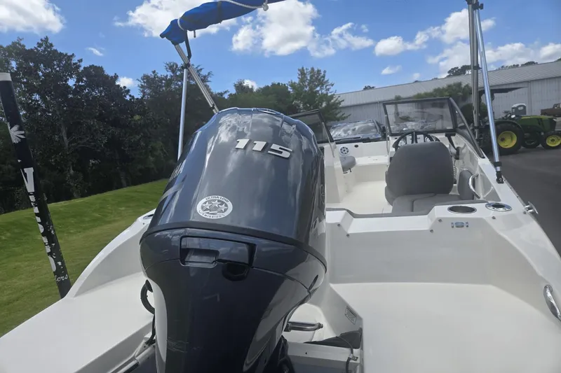 Slide: The Image of Stingray 191 DC 2020 - 3