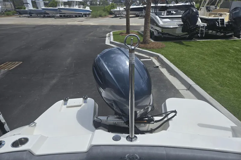 Slide: The Image of Stingray 191 DC 2020 - 5