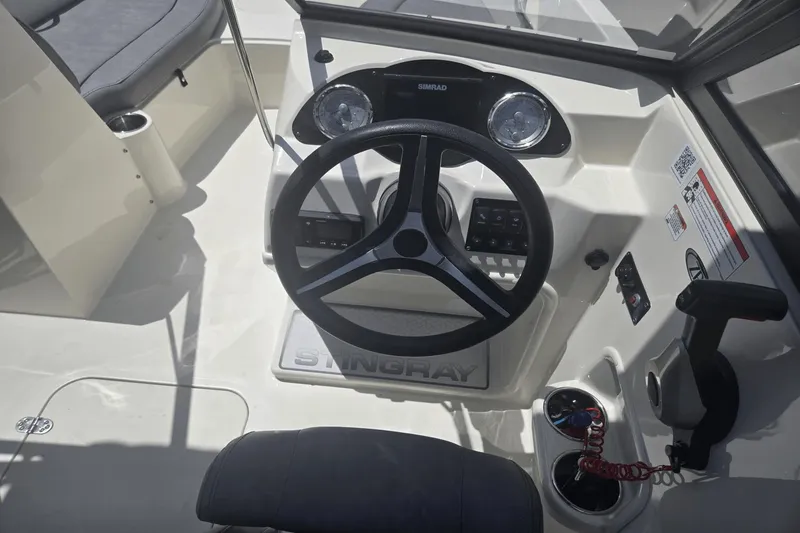 Slide: The Image of Stingray 191 DC 2020 - 9