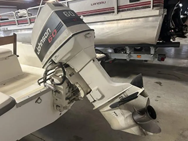 Slide: The Image of Sea Squirt 16CC 1984 - 12