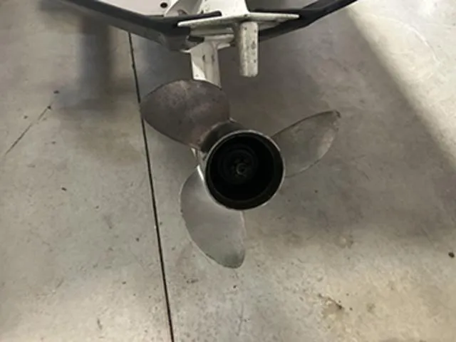 Slide: The Image of Sea Squirt 16CC 1984 - 6