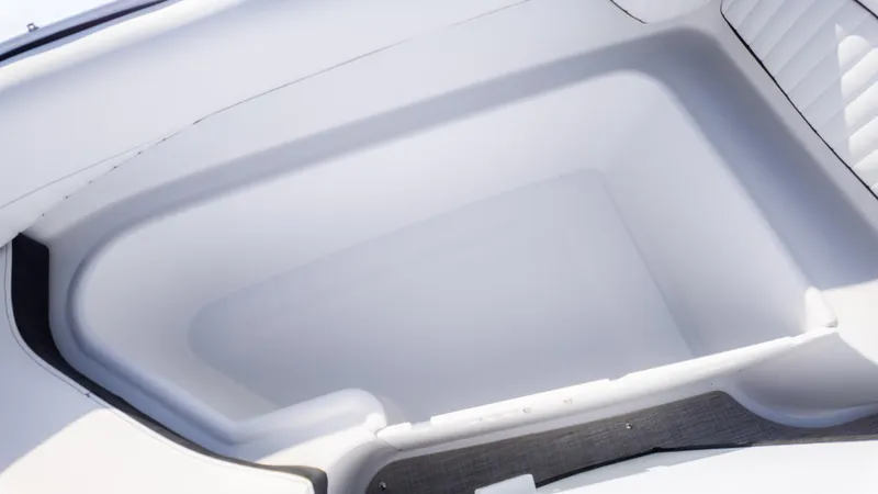 Slide: The Image of Stingray 192 SC 2025 - 19