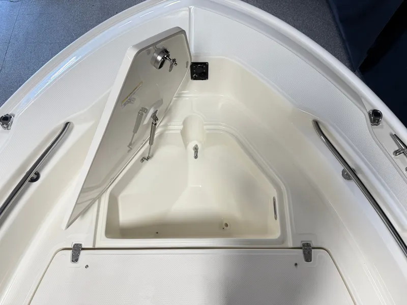 Slide: The Image of Boston Whaler 250 Dauntless 2026 - 101