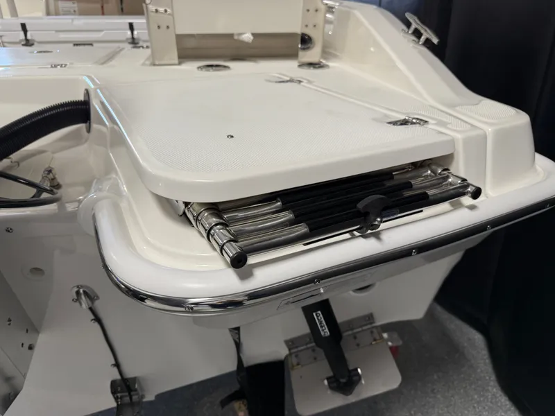 Slide: The Image of Boston Whaler 250 Dauntless 2026 - 17