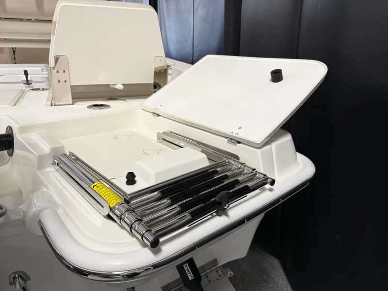 Slide: The Image of Boston Whaler 250 Dauntless 2026 - 18