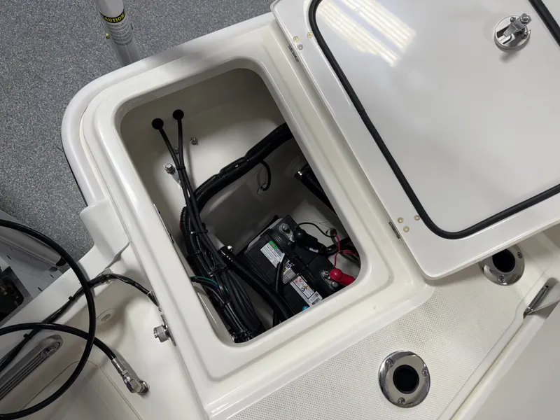 Slide: The Image of Boston Whaler 250 Dauntless 2026 - 22