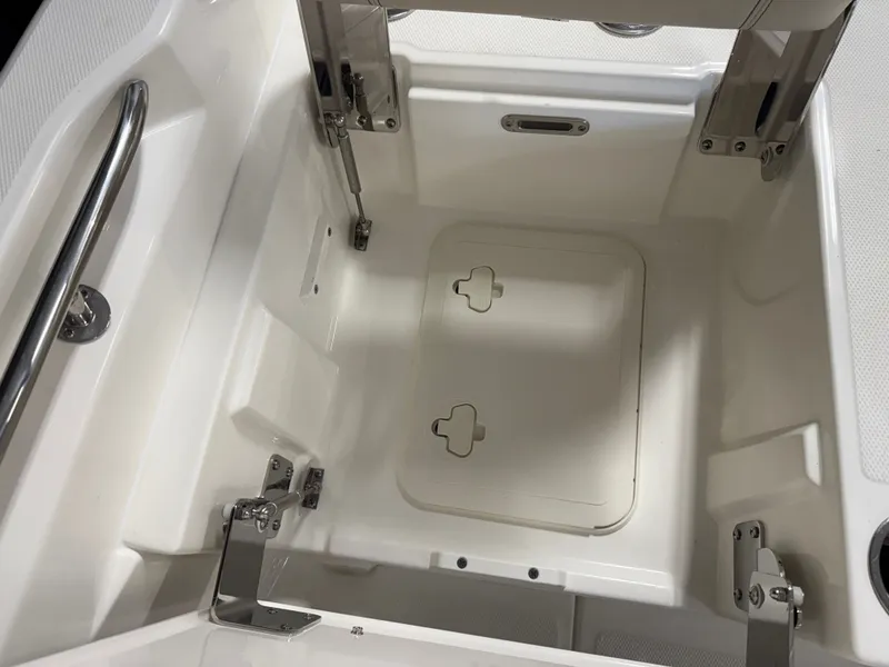 Slide: The Image of Boston Whaler 250 Dauntless 2026 - 36