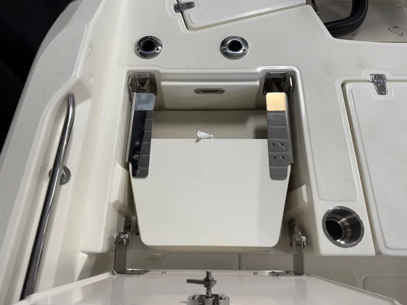 Slide: The Image of Boston Whaler 250 Dauntless 2026 - 38