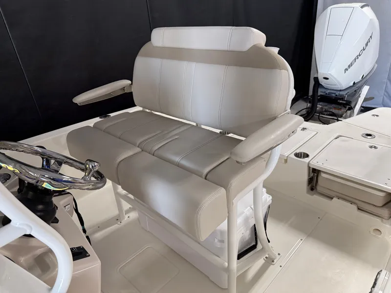 Slide: The Image of Boston Whaler 250 Dauntless 2026 - 45