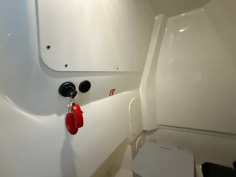 Slide: The Image of Boston Whaler 250 Dauntless 2026 - 76