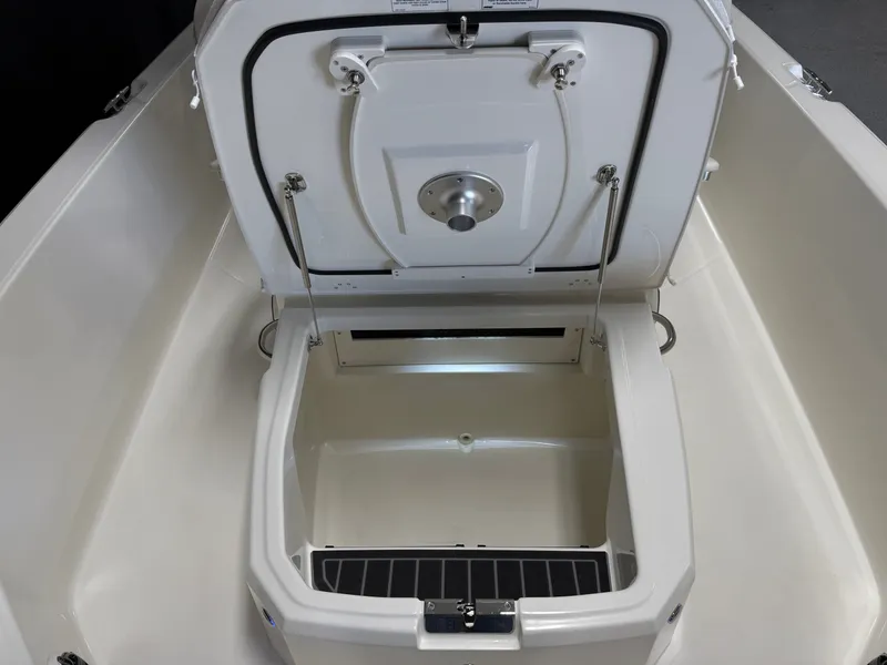 Slide: The Image of Boston Whaler 250 Dauntless 2026 - 87
