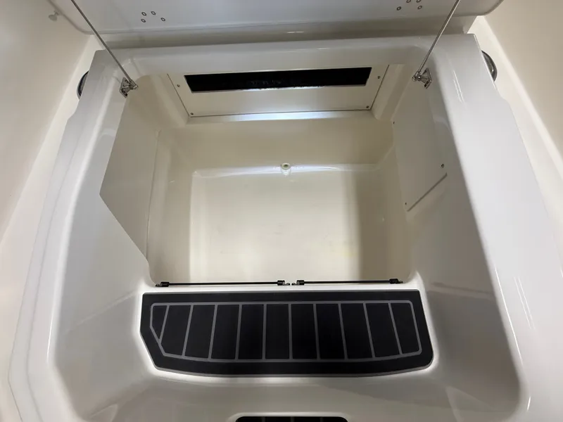 Slide: The Image of Boston Whaler 250 Dauntless 2026 - 89