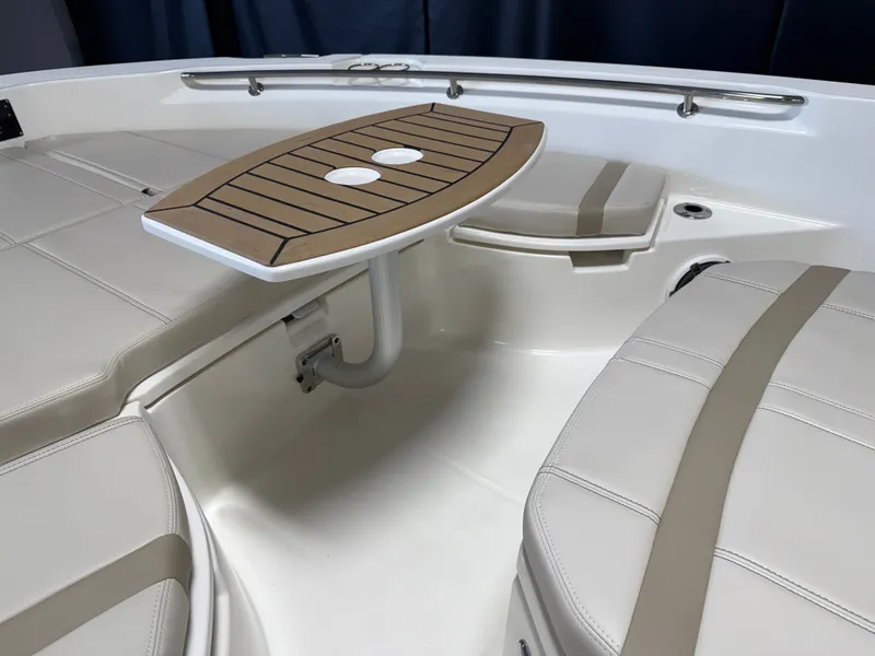 Slide: The Image of Boston Whaler 250 Dauntless 2026 - 90