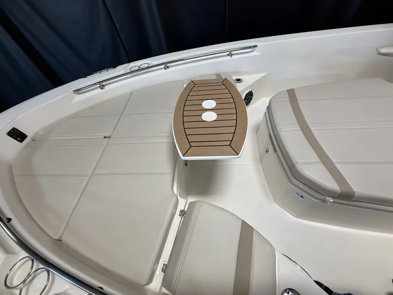 Slide: The Image of Boston Whaler 250 Dauntless 2026 - 91
