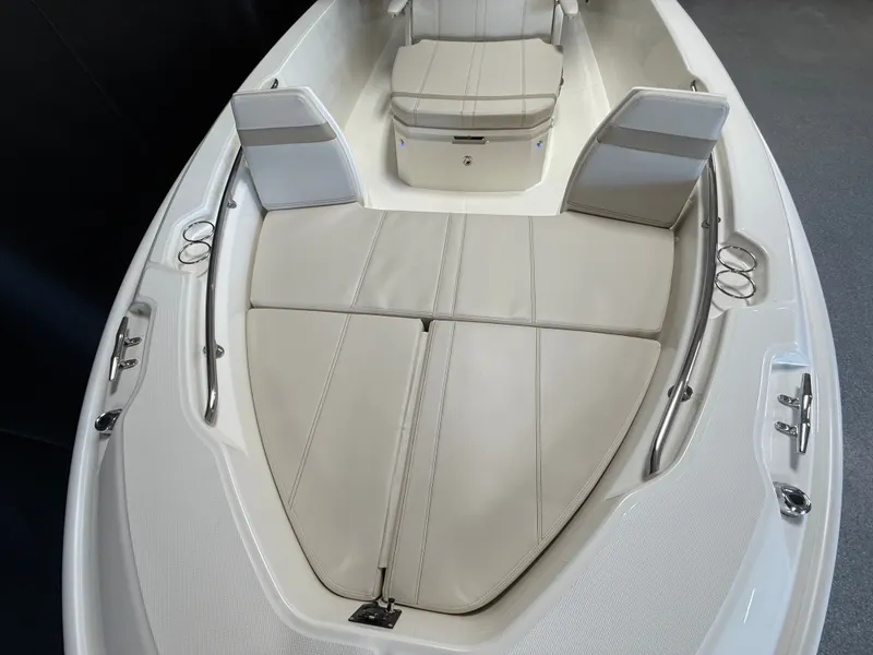 Slide: The Image of Boston Whaler 250 Dauntless 2026 - 98