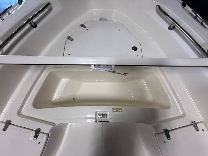 Slide: The Image of Boston Whaler 250 Dauntless 2026 - 100