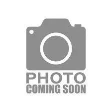 The Image of Sylvan X1 2026 - 1