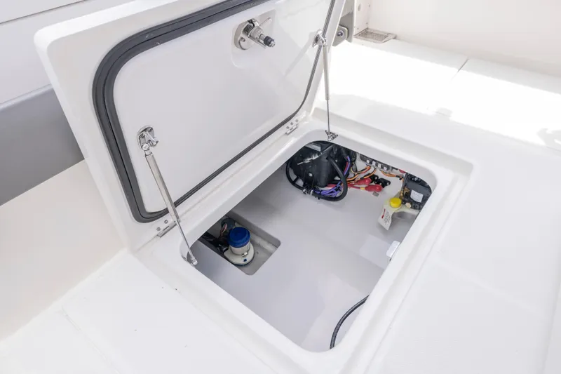 Slide: The Image of Solace 30 HCS 2025 - 15