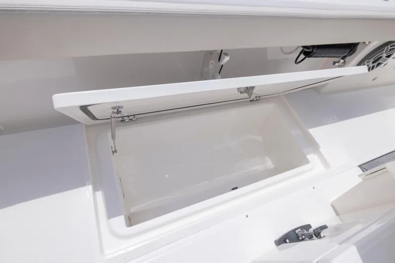 Slide: The Image of Solace 30 HCS 2025 - 17