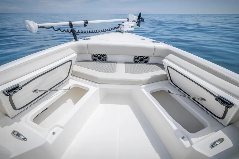 Slide: The Image of Solace 30 HCS 2025 - 22