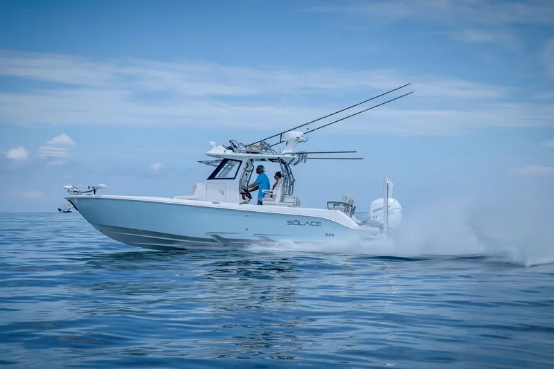 Slide: The Image of Solace 30 HCS 2025 - 4