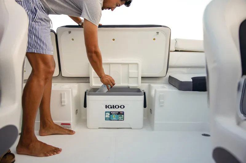 Slide: The Image of Tahoe 200 S 2025 - 85