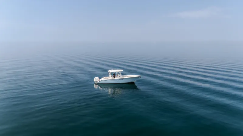 Slide: The Image of Cobia 296 Center Console 2017 - 13