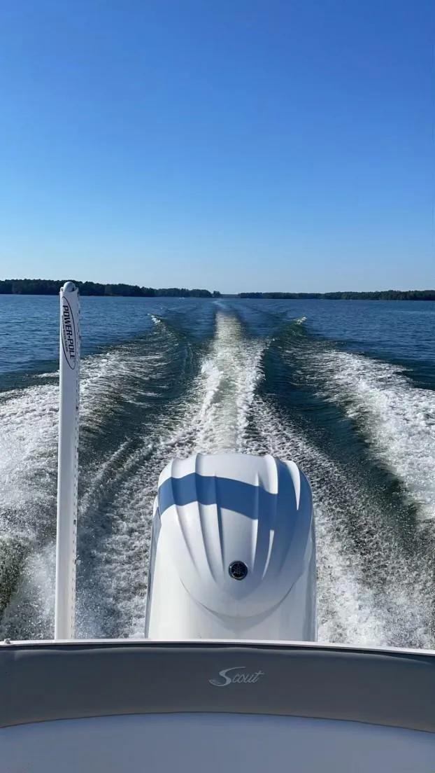 Slide: The Image of Scout 251 XSS 2022 - 6