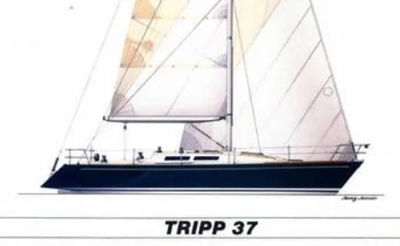 Slide: The Image of Sailboat illustration of 1987 Holby Tripp 37 model with detailed design features. - 12