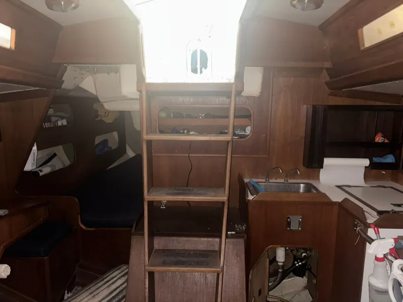 Slide: The Image of Holby Tripp 1987 - 61