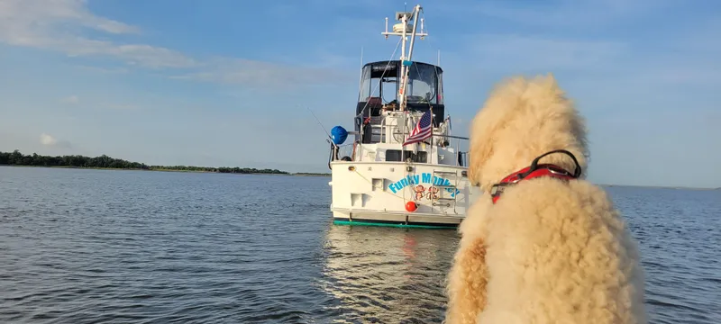 Slide: The Image of Monk 36 (Hull #215) 2001 - 7