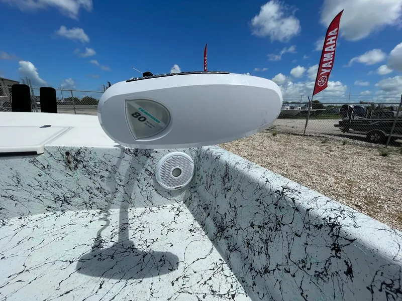 Slide: The Image of Dargel 186 Skout 2019 - 33