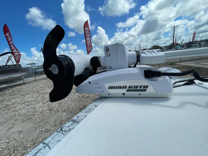 Slide: The Image of Dargel 186 Skout 2019 - 34