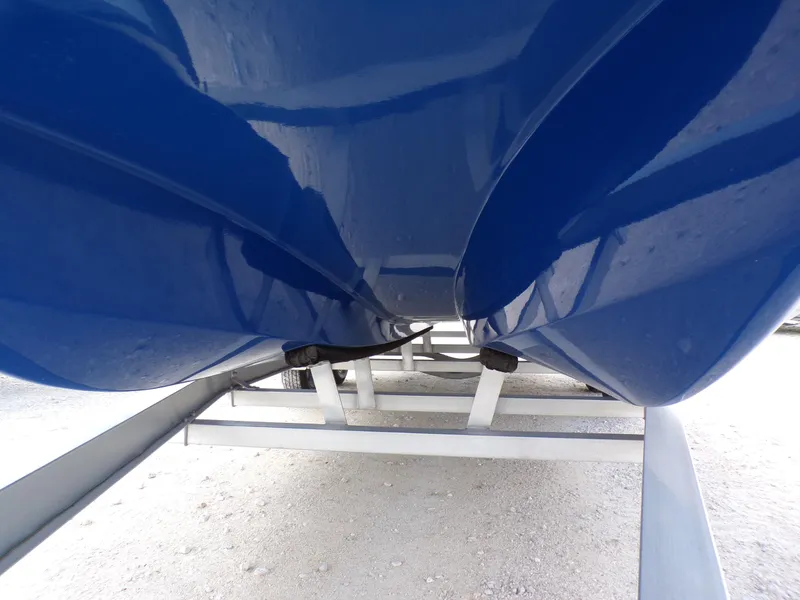 Slide: The Image of Shoalwater 23 Cat 2025 - 6