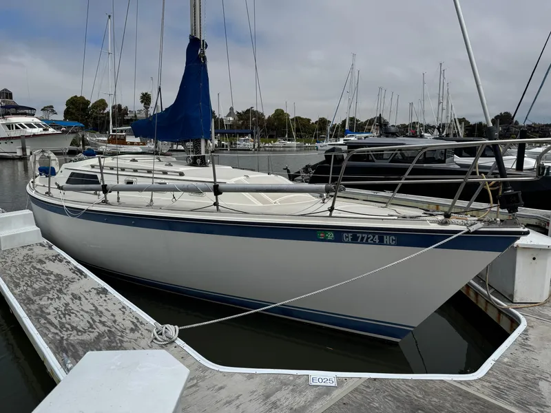 The Image of 1982 O'Day 34 sailboat docked in a marina, featuring a blue sail cover. - 0