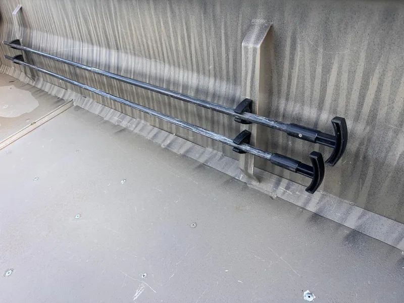 Slide: The Image of Gator-Tail 1754 2023 - 13