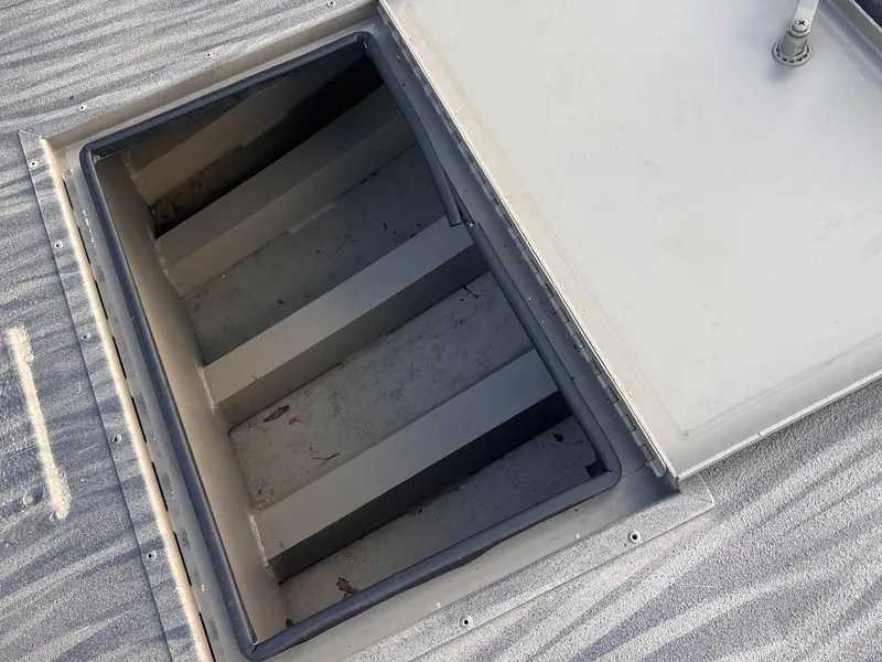 Slide: The Image of Gator-Tail 1754 2023 - 6