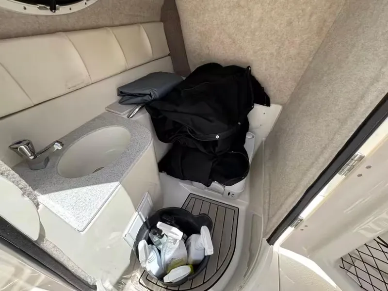 Slide: The Image of Stingray 231 DC 2020 - 12