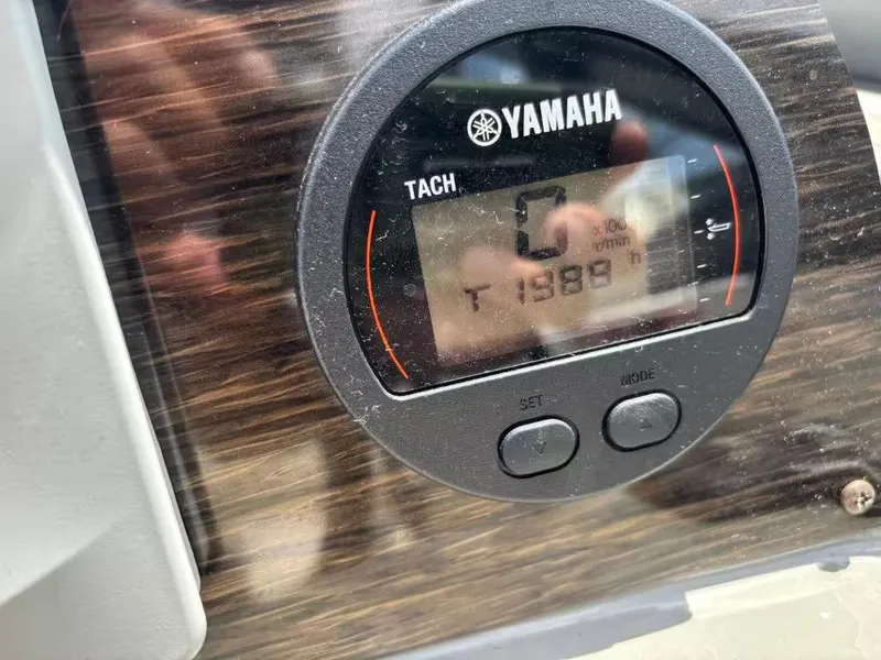 Slide: The Image of Stingray 231 DC 2020 - 13