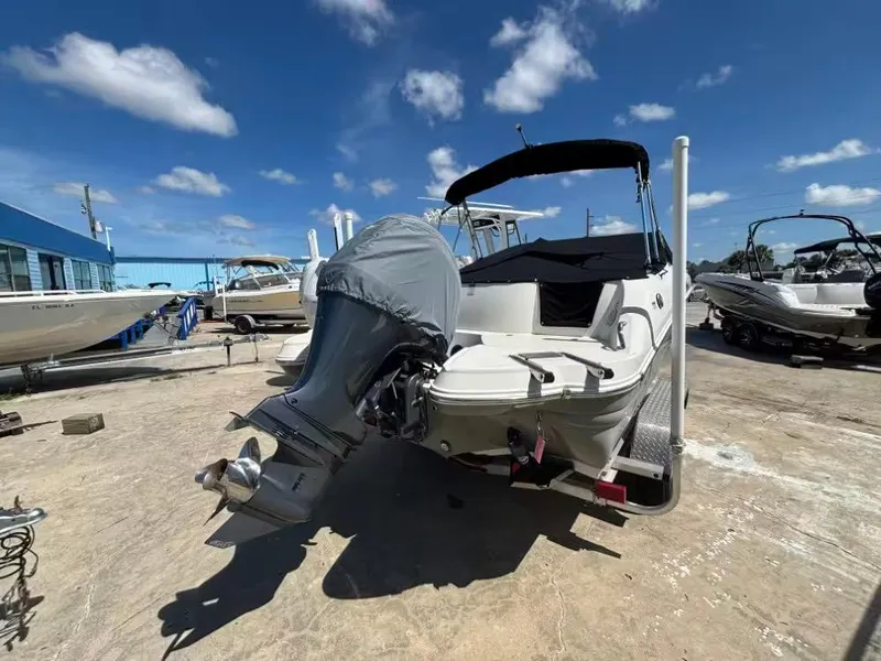 Slide: The Image of Stingray 231 DC 2020 - 3