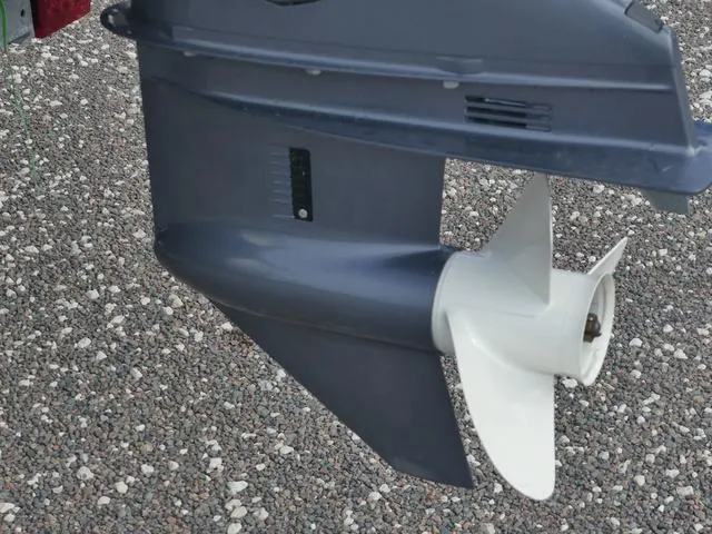 Slide: The Image of Sylvan 8522 CRS SG 2023 - 12