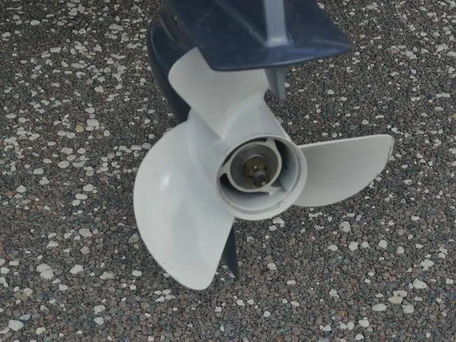 Slide: The Image of Sylvan 8522 CRS SG 2023 - 13